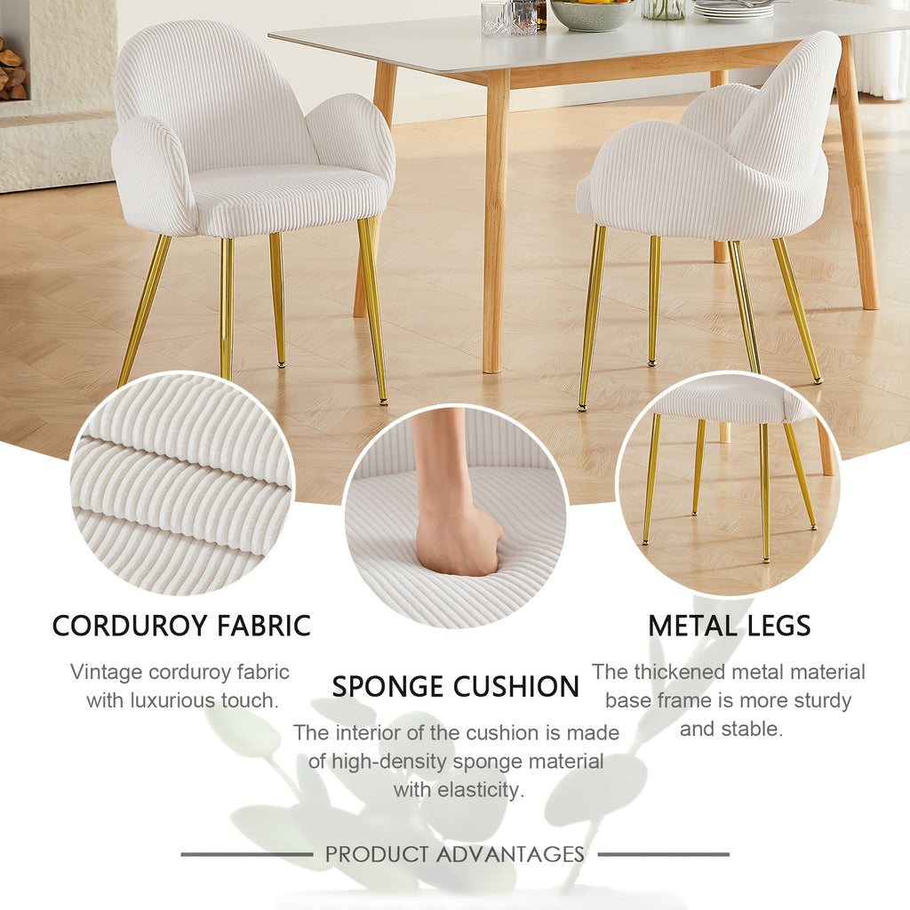 Set of 2 Modern Dining Chairs with Upholstered Cushioned Seats & Sturdy Metal Legs